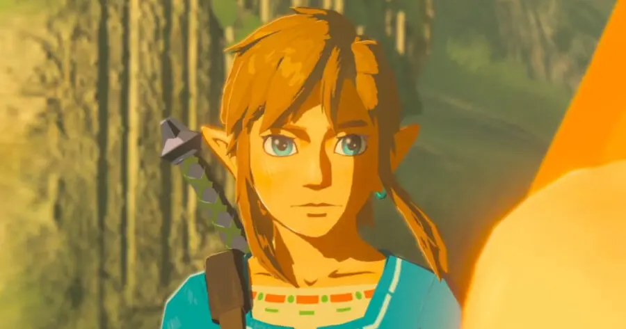 Why do people think the main character in Zelda is named Link