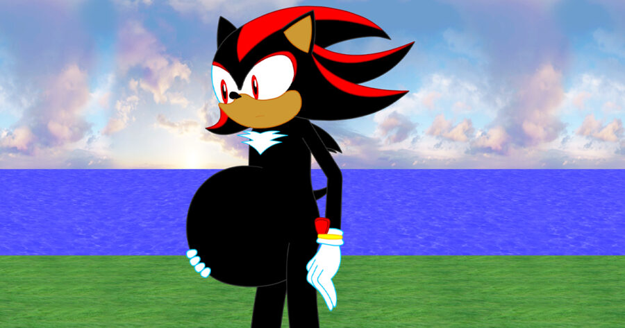 Shadow the Hedgehog