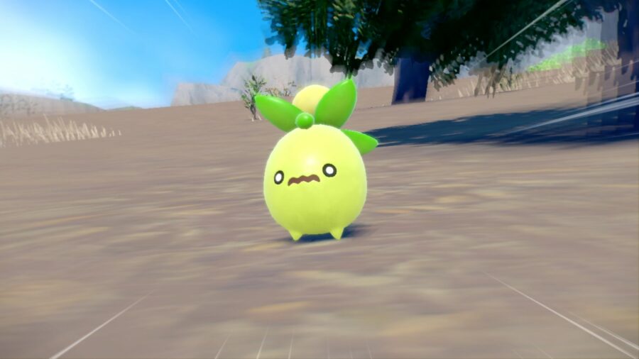 The Pokémon Smoliv. It is an olive-shaped Pokémon wearing a distraught expression.