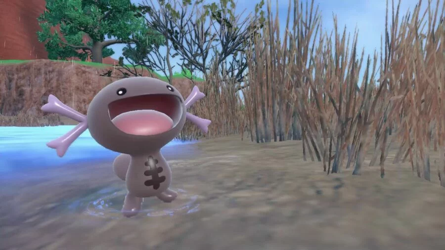 The Pokémon Wooper in its Paldean form. It is brown with pointy gills and has a huge, smiling mouth.