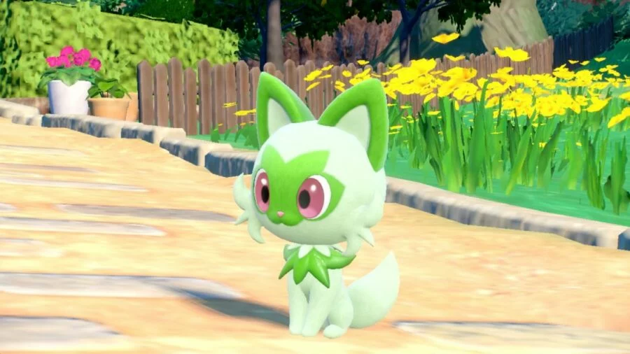 The Pokémon Sprigatito. It is a green cat with big red eyes.
