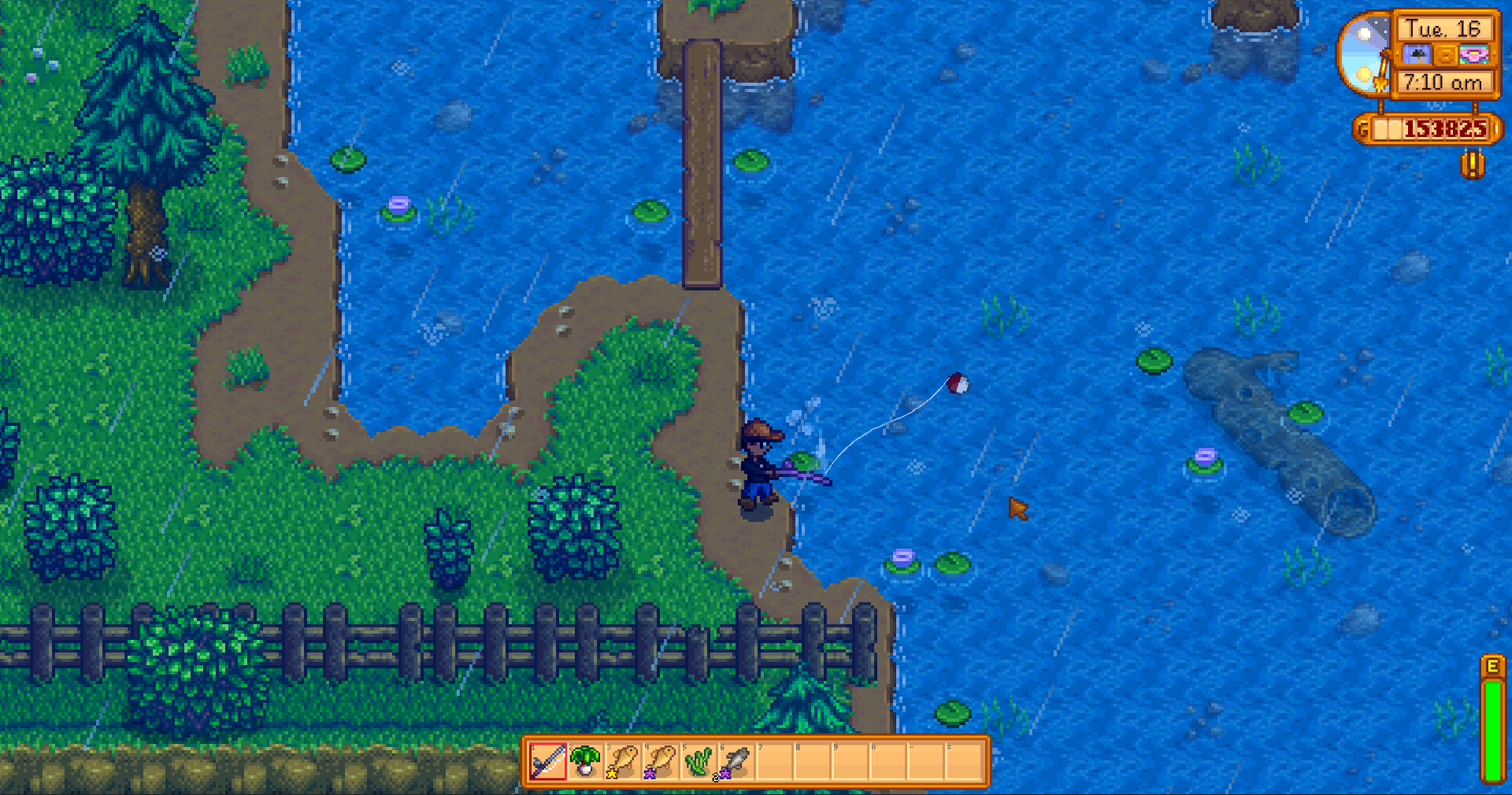 Stardew Valley Fishing Guide: How to Catch Every Fish, Catchable