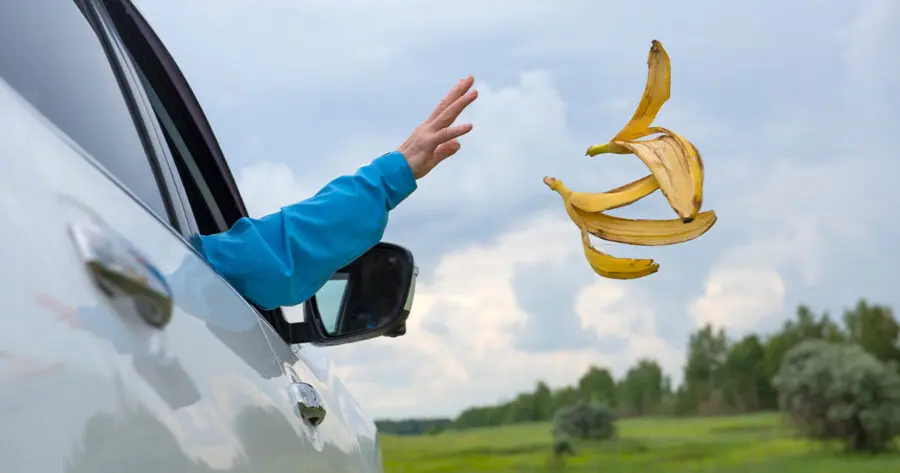 Banana Peel, Nintendo