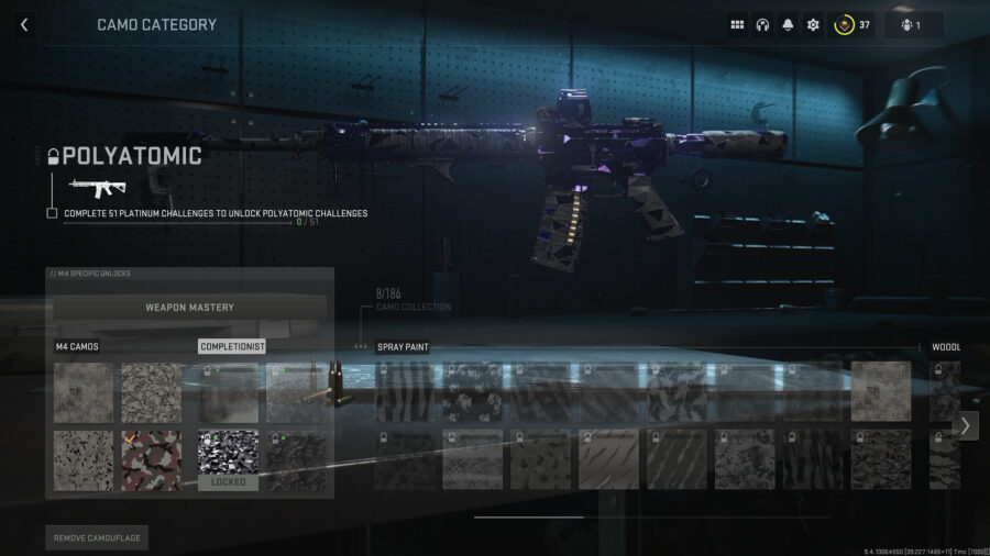 advanced warfare gun camo