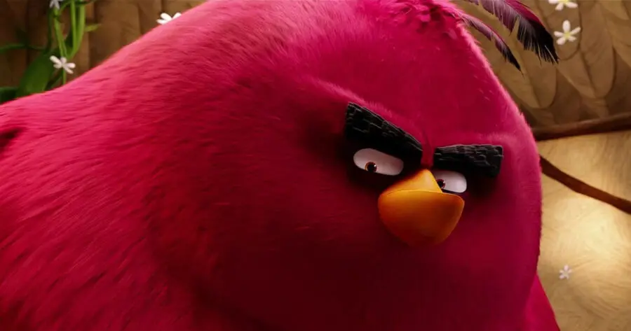 Retired Angry Bird Diagnosed With CTE