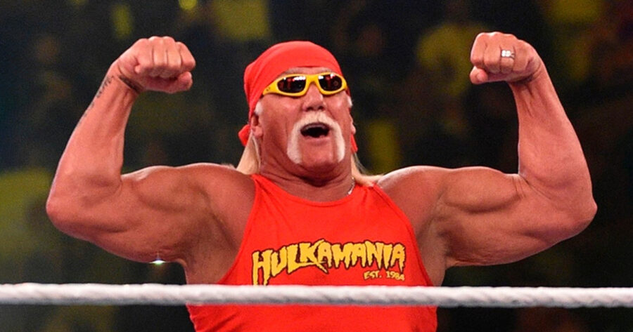 Hulk Hogan Has Great Idea for Movie About Hulk Hogan