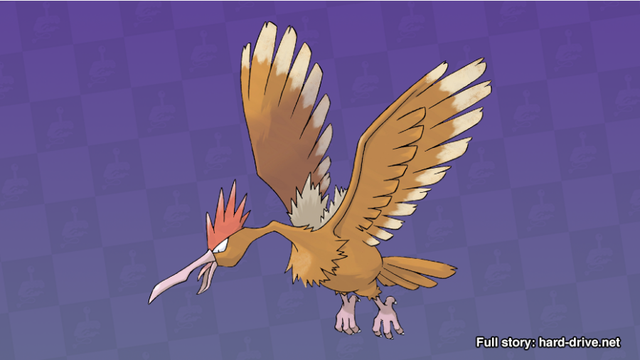 Poke profile #22 - Spearow