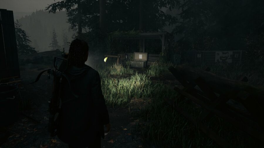 Alan Wake 2 is proof more PC games need a potato mode