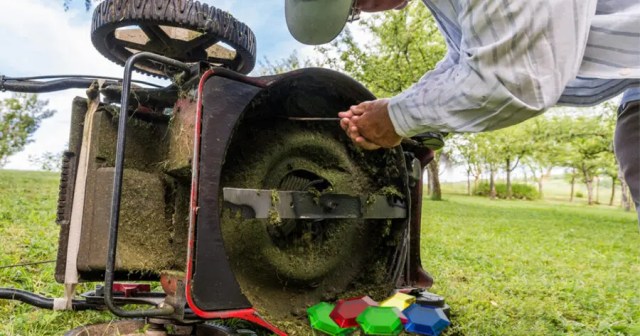 Dad Getting Tired of Cleaning Rupees Out of Lawnmower