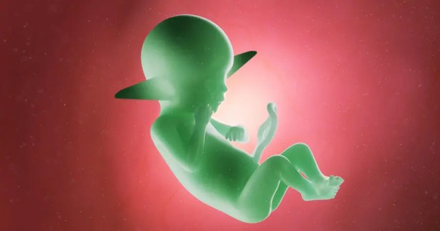 Disney+ Announces ‘Young Baby Yoda’ Spin-Off