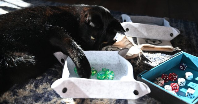 Keeping DM’s Cat Off Table Is D&D Party’s Hardest Challenge of the Night