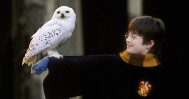 6 Animals That Died in Movies But Kind of Had It Coming