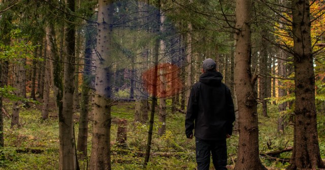 Man Camping Alone Deep in the Woods Hears Discord Notification Bleep