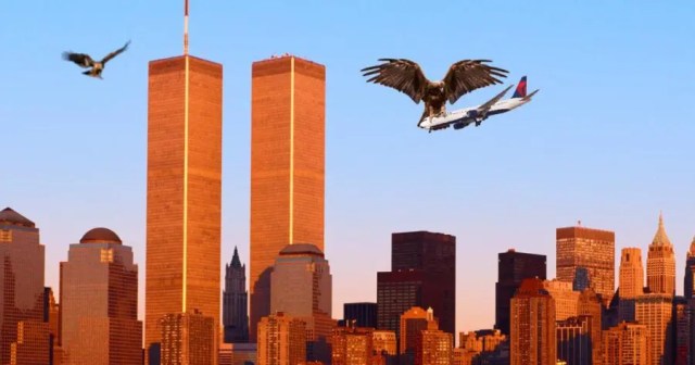 Why Didn’t the Eagles Do Anything to Stop 9/11 From Happening?