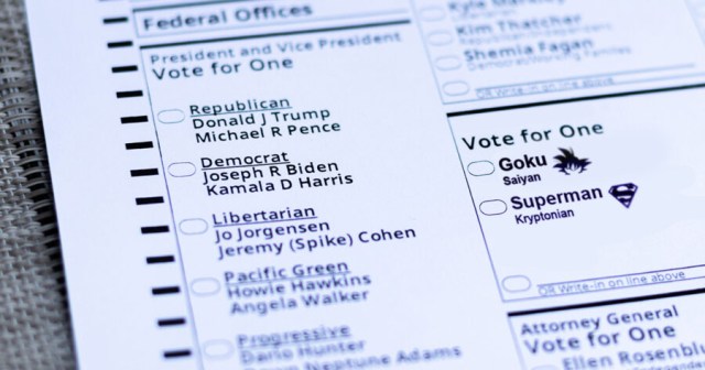 Voter Participation Skyrockets After Adding “Goku or Superman” to Ballot