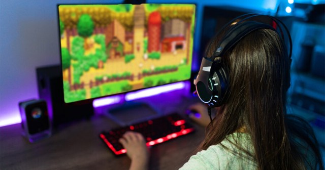 Guy Who Spent Years Getting Girlfriend Into Video Games Begging Her to Stop Playing Stardew Valley All Day