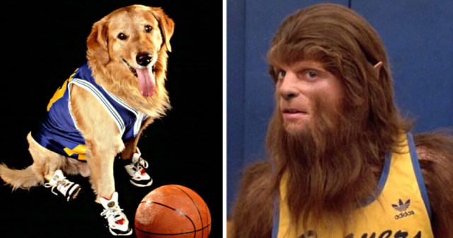 Air Bud Slain by Teen Wolf in Conference Championship Game