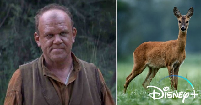 Disney Announces John C. Reilly Will Star in ‘The Guy That Shoots Bambi’s Mom’ Series