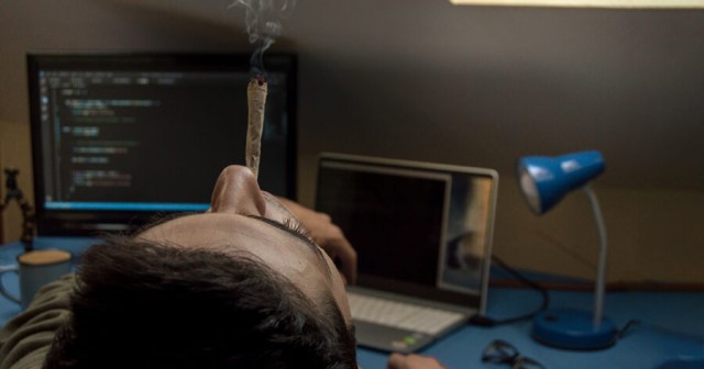 Remote Worker Will Get Right on That After They Smoke Every Last Speck of Weed in Apartment