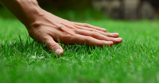 Redditor Still Insufferable After Touching Grass