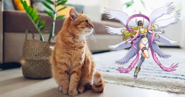 Parents Unsure How to Explain to Kids That Family Cat Has Digivolved Into Angewomon