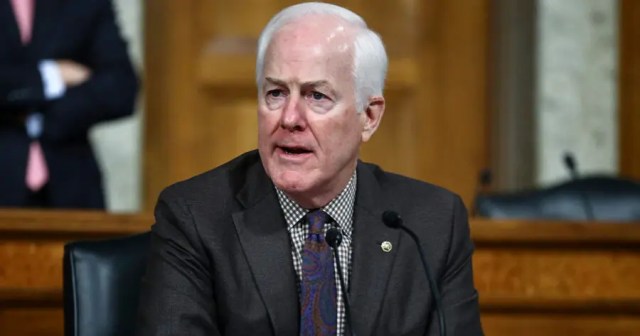 Congress Blames Baby Formula Shortage on Violent Video Games