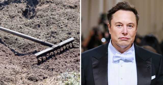 Elon Musk Offers to Buy Rake He Stepped On