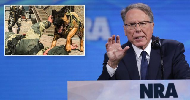NRA Suggests Teachers Play More Violent Video Games