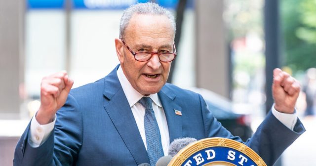 Democratic Party Reveals They Thought They Were in Spectate Mode This Whole Time