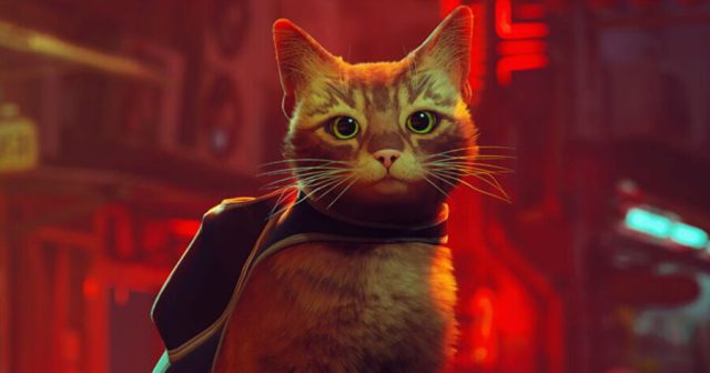 Cat Walking Over Keyboard Gets First “All Achievements” Run in Stray