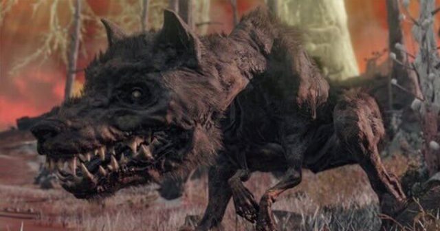 Dear Elden Ring, Let Me Pet This Fucker