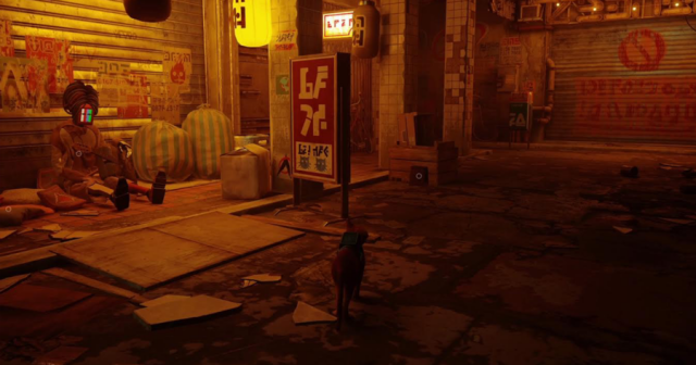How to Get Your Precious, Stupid Little Head Stuck in a Paper Bag in Stray