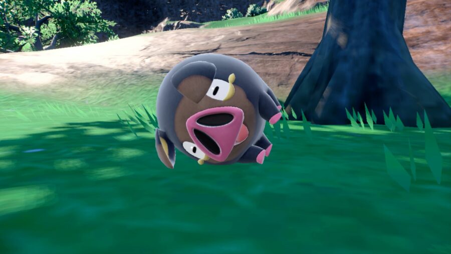 The Pokémon Lechonk. It is a round pig-like Pokémon with a huge nose. It is lying on its side.