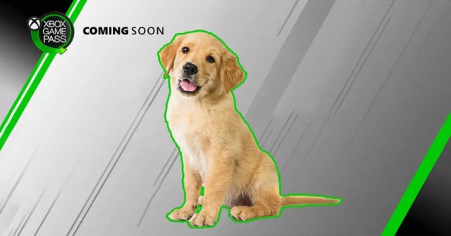 Microsoft Announces Game Pass Subscribers Will Receive a Real Life Dog on September 1st