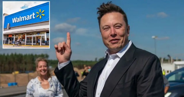 Elon Musk Announces Nation Can Pick One Toy from Walmart in Latest Attempt to Buy Public’s Love