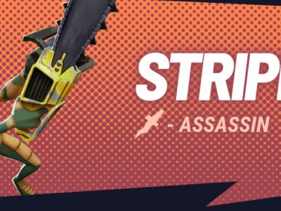 stripe multiversus assassin