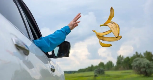 Gamer Bummed After Car Uneventfully Runs Over Banana Peel