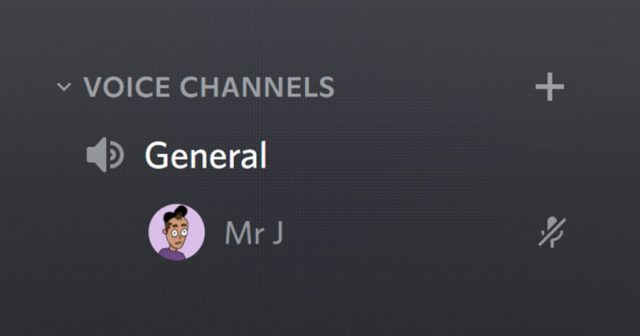 Nobody Knows Person Just Hanging Out Alone in Discord Voice Channel