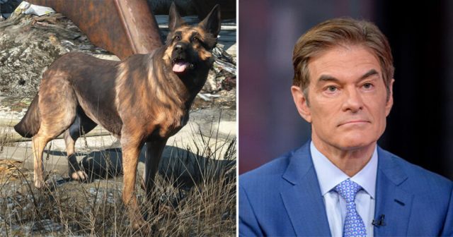 Dr. Oz Mods ‘Fallout 4’ So He Can Kill Dogmeat