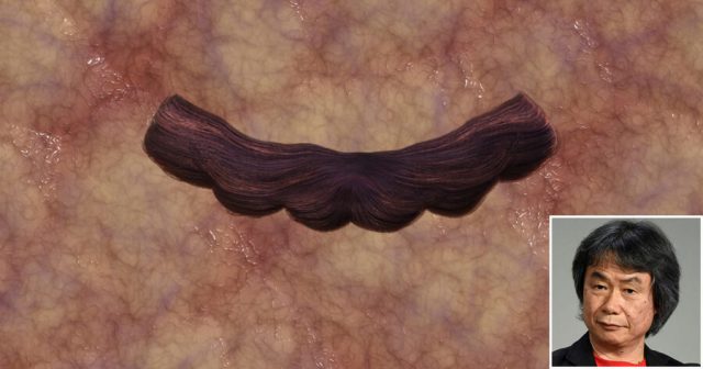 “He’s Not Ready,” Mutters Miyamoto Over Shrieking Flesh Pile of Failed Mario Clone