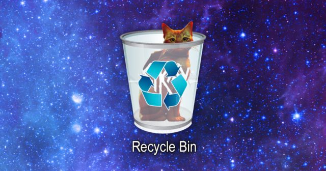 ‘Stray’ File Keeps Hanging Out in Trash Bin Instead of Fancy New External Hard Drive You Bought for It