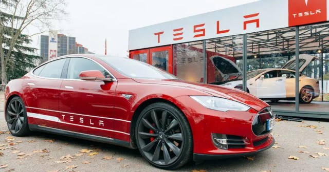 Tesla Employees Enjoy Moment of Peace While Elon Distracted With New Toy