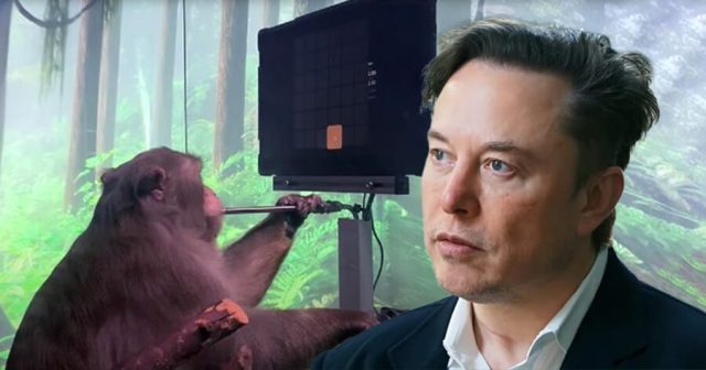 Elon Musk Forced to Lay Off 50% of Monkey Workforce He Planned on Murdering