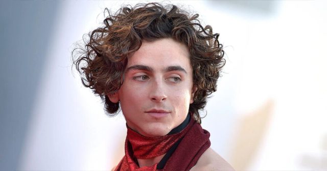 Timothée Chalamet to Star in Untitled “Young Timothee Chalamet” Biopic