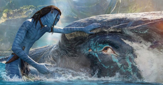 Everything We Know About the Next Avatar Movies