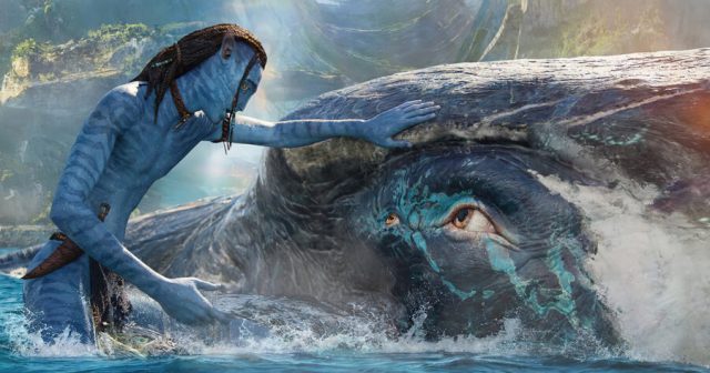 Everything We Know About the Next Avatar Movies