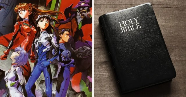 Huge Neon Genesis Evangelion Fan Finally Reads Manga It’s Based On