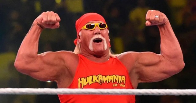Hulk Hogan Has Great Idea for Movie About Hulk Hogan