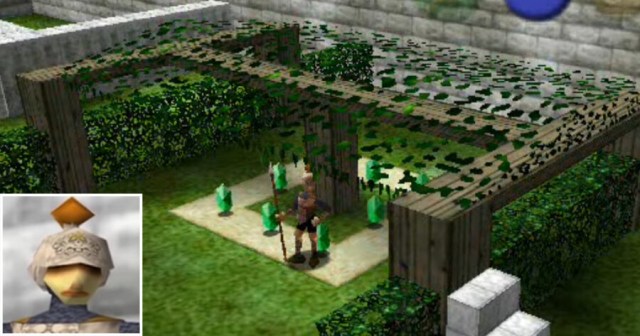 Hyrule Castle Guard Claims Wooden Beams Above Head Are Outside His Jurisdiction