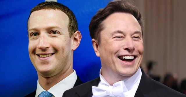 Everything We Know About the Musk vs. Zuckerberg Cage Match